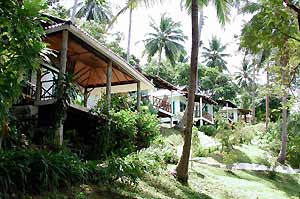 Bungalows of the Bay View Resort - Phi Phi Island