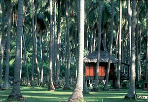 Bungalow