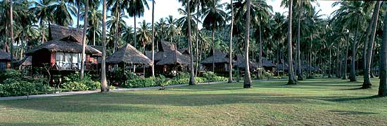 The resort