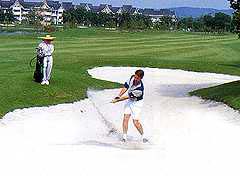 Hole in One? 