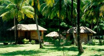 Die Bungalows