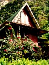 Die Khao Soke Jungle Lodge