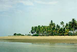 Sukorn Island - Project Site