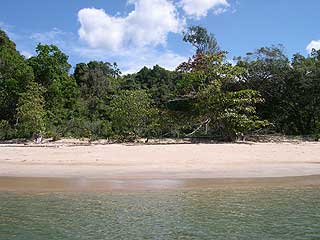 Beach-Front