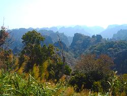 Laos unspoiled monsun forrest