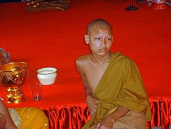 A jung monk at a Luang Prabang monastary